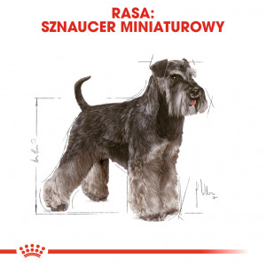 ROYAL CANIN Miniature Schnauzer Adult 