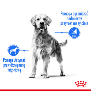 ROYAL CANIN Medium Light Weight Care 