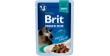 BRIT PREMIUM CAT Beef Gravy Fillets Adult - wołowina w sosie 85g (saszetka)