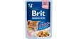 BRIT PREMIUM CAT Chicken Gravy Fillets Kitten - kurczak w sosie dla kociąt 85g (saszetka)