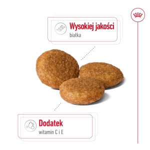 ROYAL CANIN Medium Adult karma sucha dla psów dorosłych, ras średnich