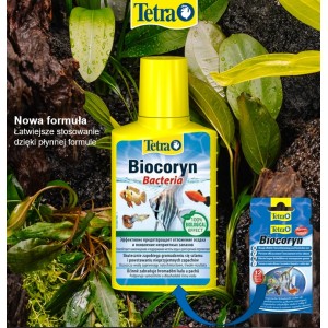 TETRA Biocoryn 100 ml - środek do zwalczania składników szkodliwych