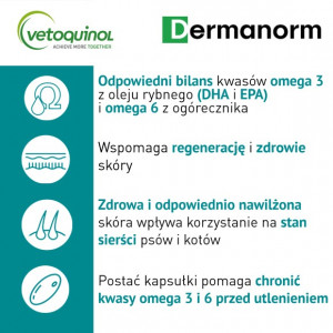 VETOQUINOL Dermanorm 90 kaps.