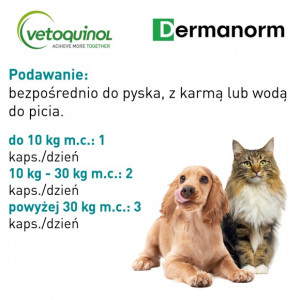 VETOQUINOL Dermanorm 90 kaps.