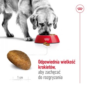 ROYAL CANIN Maxi Adult