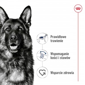 ROYAL CANIN Maxi Adult