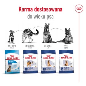 ROYAL CANIN Maxi Adult