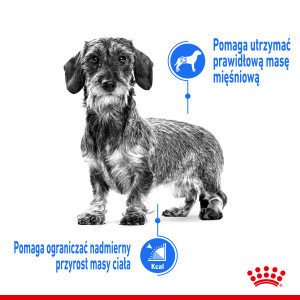 ROYAL CANIN Mini Light Weight Care karma sucha dla psów dorosłych ras małych, z tendencją do nadwagi