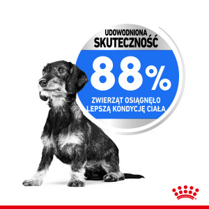 ROYAL CANIN Mini Light Weight Care karma sucha dla psów dorosłych ras małych, z tendencją do nadwagi