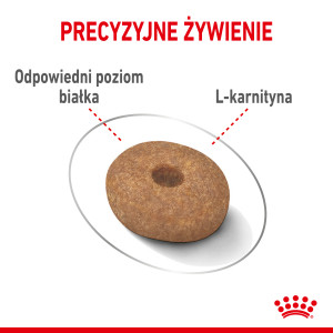 ROYAL CANIN Mini Light Weight Care karma sucha dla psów dorosłych ras małych, z tendencją do nadwagi