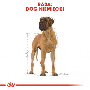 ROYAL CANIN Great Dane Adult karma sucha dla psów dorosłych rasy dog niemiecki