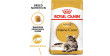 ROYAL CANIN FBN Maine Coon Adult 2kg PROMO Krótki termin