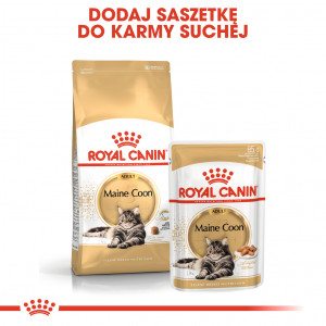 ROYAL CANIN Maine Coon Adult karma sucha dla kotów dorosłych rasy maine coon