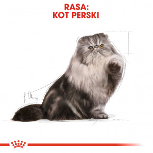 ROYAL CANIN Persian Adult karma sucha dla kotów dorosłych rasy perskiej