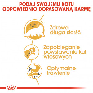 ROYAL CANIN Persian Adult karma sucha dla kotów dorosłych rasy perskiej