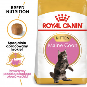 ROYAL CANIN Maine Coon Kitten karma sucha dla kociąt do 15 miesiąca, rasy maine coon