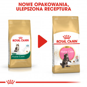 ROYAL CANIN Maine Coon Kitten karma sucha dla kociąt do 15 miesiąca, rasy maine coon