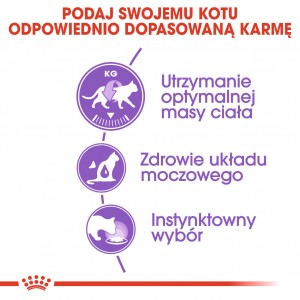 ROYAL CANIN Sterilised Gravy karma mokra w sosie dla kotów dorosłych, sterylizowanych