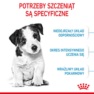 ROYAL CANIN Mini Puppy karma sucha dla szczeniąt ras małych, od 2 do 10 miesiąca życia