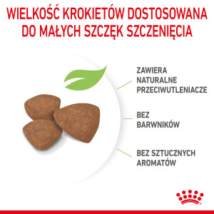 ROYAL CANIN Mini Puppy karma sucha dla szczeniąt ras małych, od 2 do 10 miesiąca życia