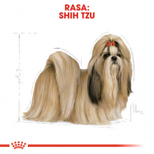 ROYAL CANIN Shih Tzu Adult 