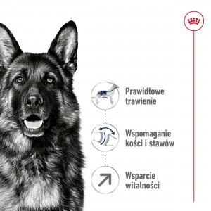 ROYAL CANIN Maxi Adult +5