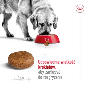 ROYAL CANIN Maxi Adult +5