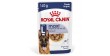 ROYAL CANIN Maxi Adult karma mokra, kawałki w sosie dla psów dorosłych, ras dużych