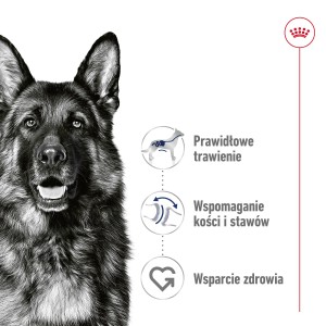 ROYAL CANIN Maxi Adult