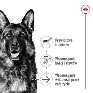 ROYAL CANIN Maxi Ageing +8