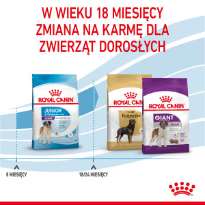 ROYAL CANIN Giant Junior