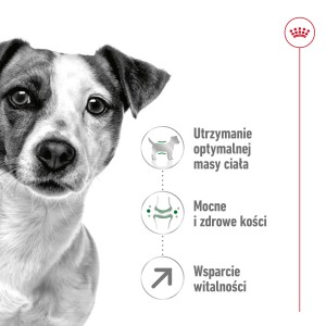 ROYAL CANIN Mini Adult 8+