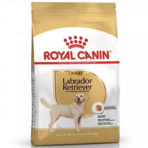 ROYAL CANIN Labrador Retriever Adult