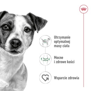 ROYAL CANIN Mini Adult Rozmiar S