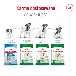 ROYAL CANIN Mini Adult Rozmiar S