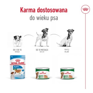 ROYAL CANIN Mini Ageing 12+