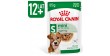 ROYAL CANIN Mini Ageing 12+ karma mokra, kawałki w sosie dla psów dojrzałych po 12 roku życia, ras małych