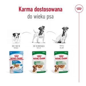 ROYAL CANIN Mini Ageing 12+