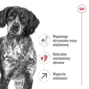 ROYAL CANIN Medium Adult +7