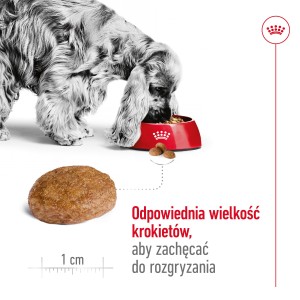 ROYAL CANIN Medium Adult +7