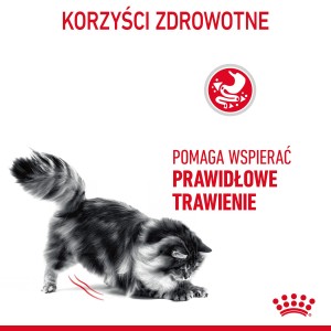 ROYAL CANIN Digestive Care karma sucha dla kotów dorosłych, wspomagająca przebieg trawienia