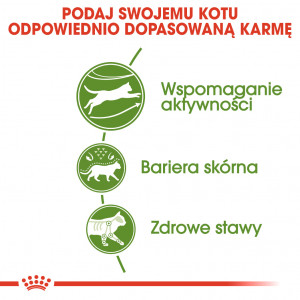 ROYAL CANIN Outdoor karma sucha dla kotów dorosłych, aktywnych i często wychodzących na zewnątrz