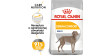 ROYAL CANIN CCN Maxi Dermacomfort 12kg PROMO Uszkodzenie