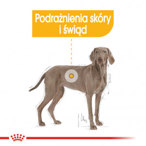 ROYAL CANIN Maxi Dermacomfort karma sucha dla psów dorosłych, ras dużych, o wrażliwej skórze, skłonnej do podrażnień