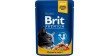 BRIT PREMIUM CAT Adult Łosoś i Pstrąg (saszetka)