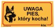 DINGO Tabliczka ostrzegawcza - "Uwaga, pies który kocha"