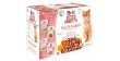 BRIT CARE CAT Fillets in Gravy Flavour Box saszetki w sosie (12x 85g)