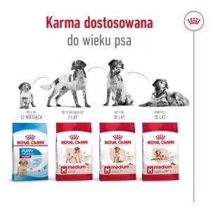 ROYAL CANIN Medium Adult karma sucha dla psów dorosłych, ras średnich