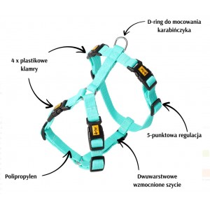 DINGO Szelki GUARD ENERGY 4 klamry - pomarańczowy