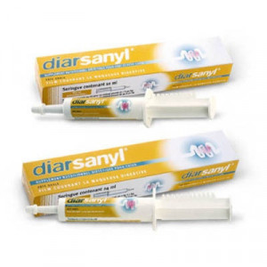 DIARSANYL Plus - Pasta przeciw biegunce